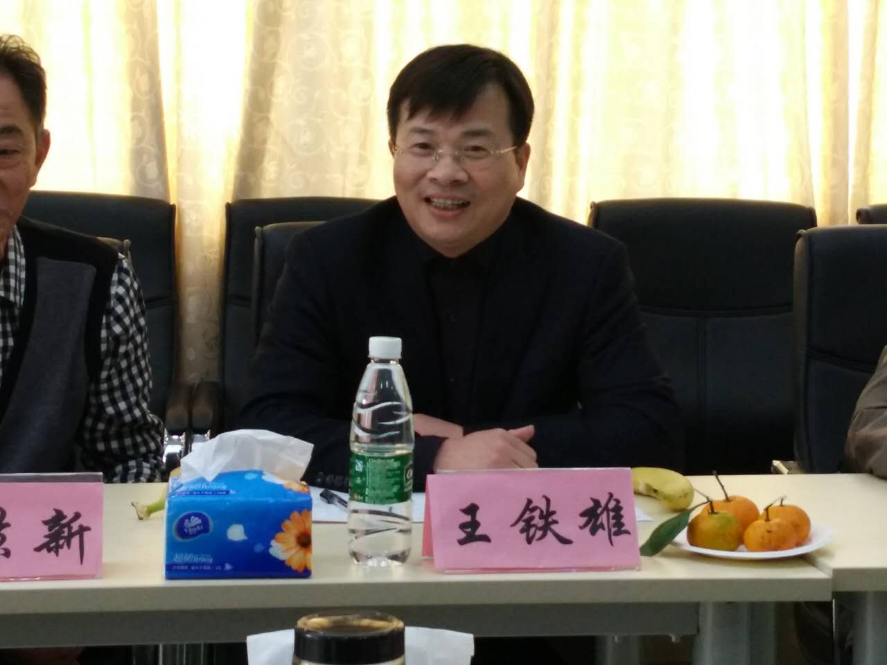 王铁雄教授发言